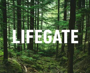 Lifegate