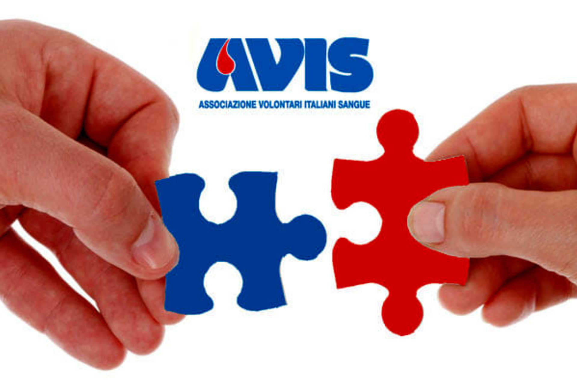 AVIS – Associazione Volontari Italiani del Sangue